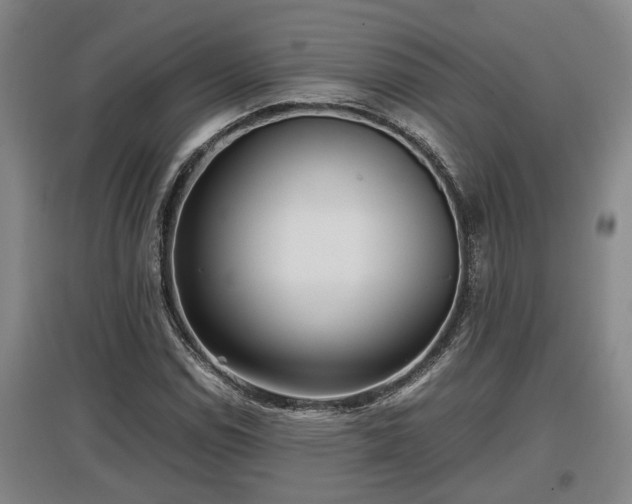 X0000097481114200802291352