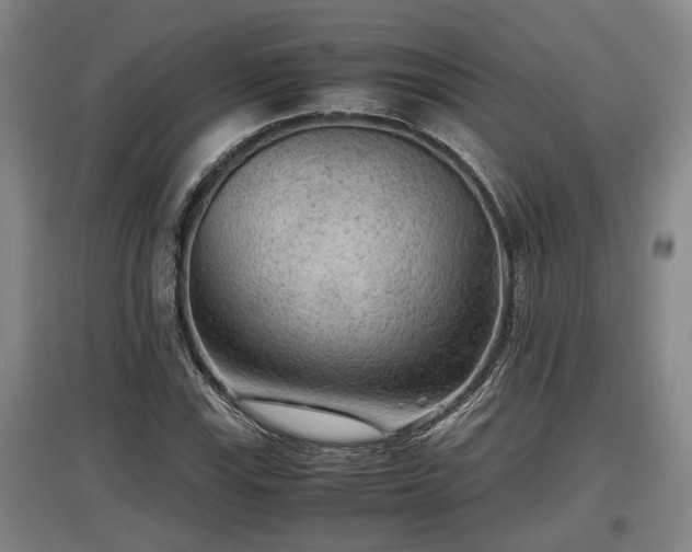 X0000097481115200802291352