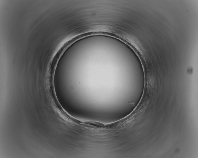 X0000097481116200802291352