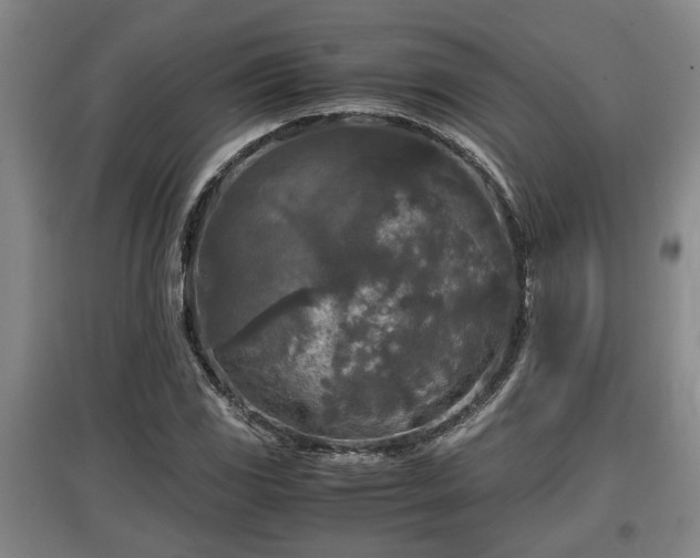 X0000097481117200802291352