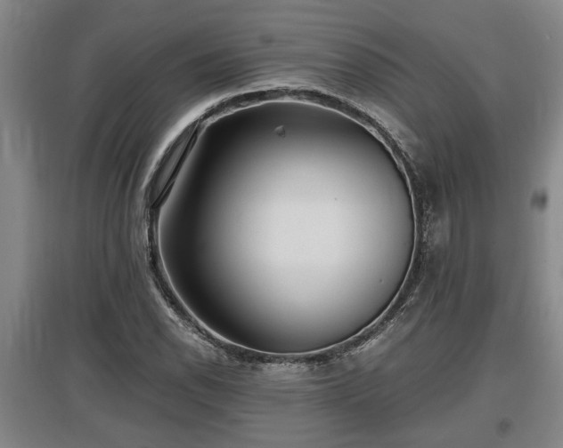 X0000097481118200802291352