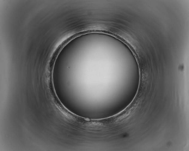 X0000097481119200802291352
