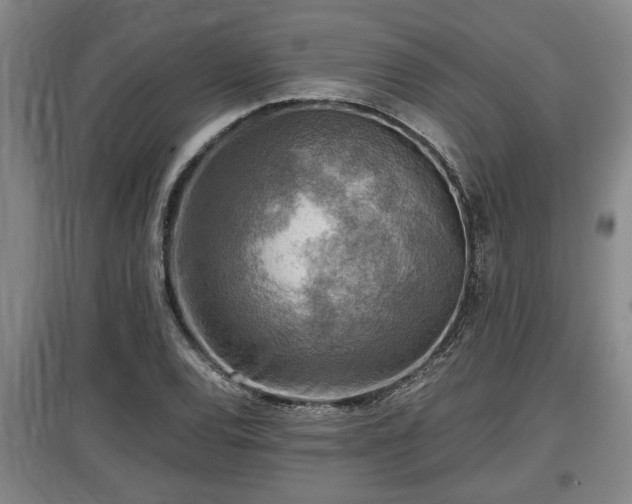 X0000097481120200802291352