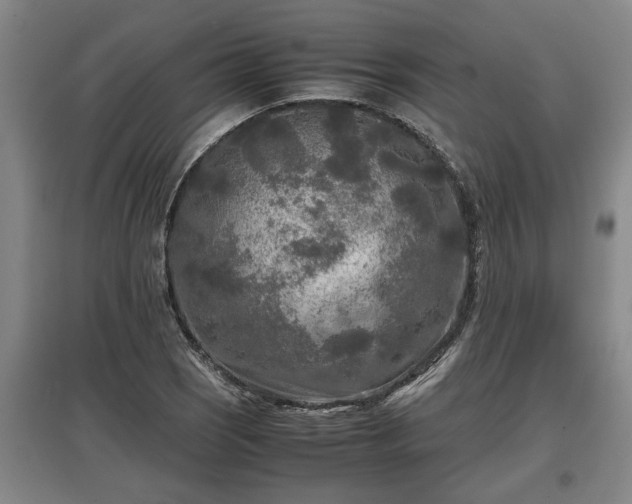 X0000097481121200802291352
