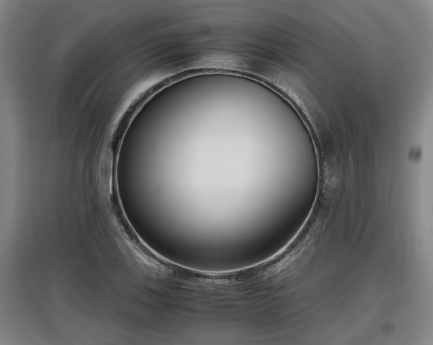 X0000097481123200802291352