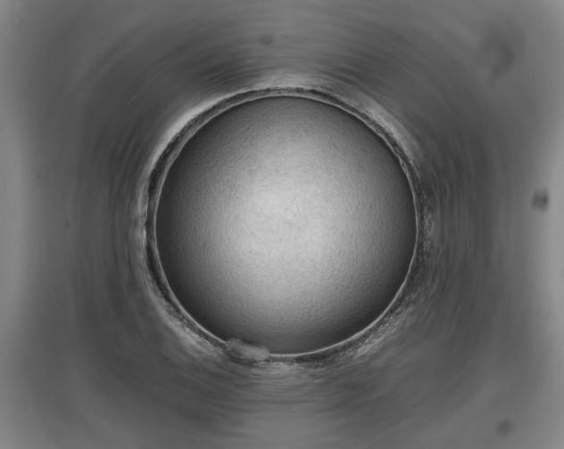 X0000097481124200802291352