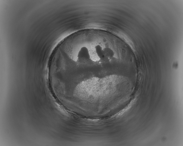 X0000097481125200802291352