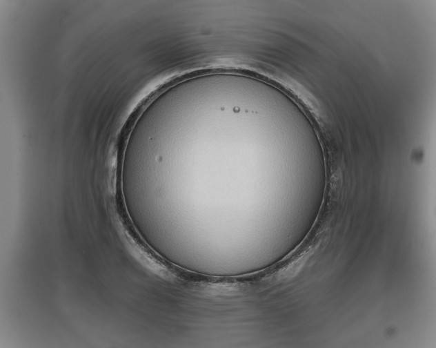 X0000097481126200802291352