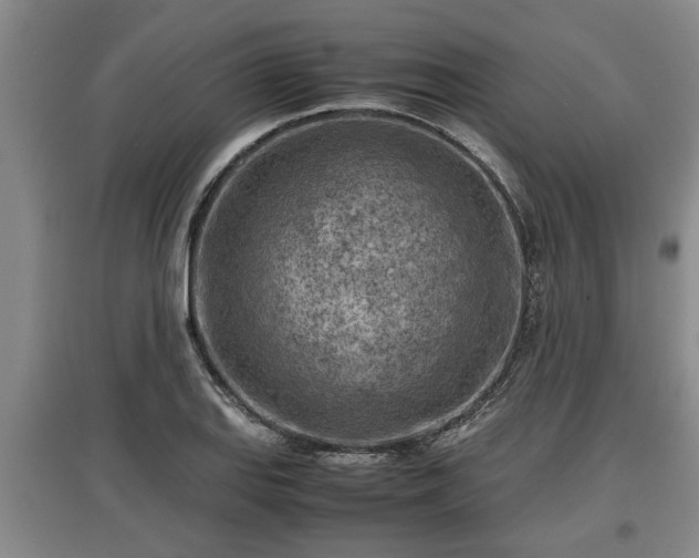 X0000097481127200802291352