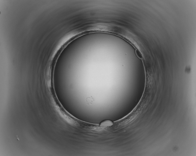 X0000097481131200802291352