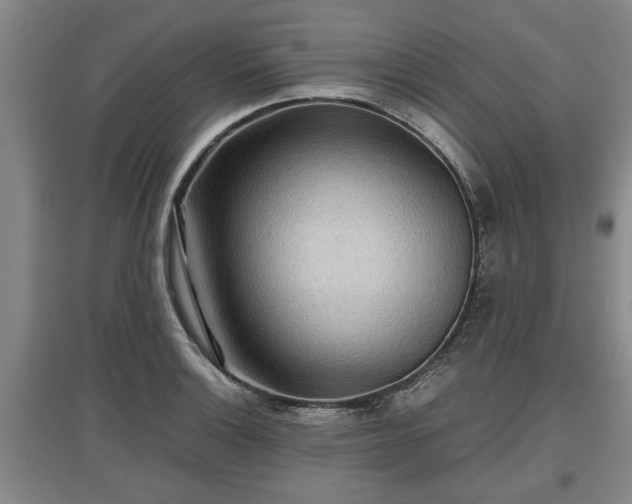 X0000097481132200802291352