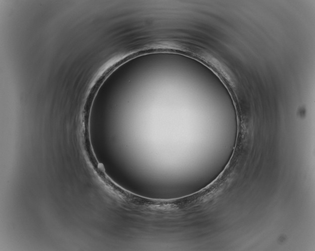 X0000097481133200802291352