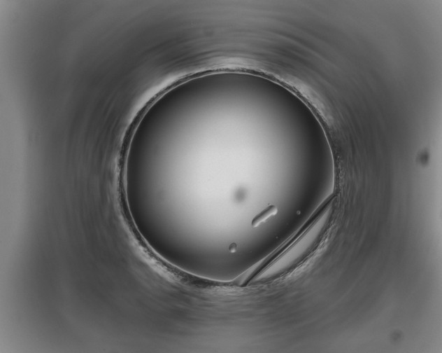 X0000097481134200802291352