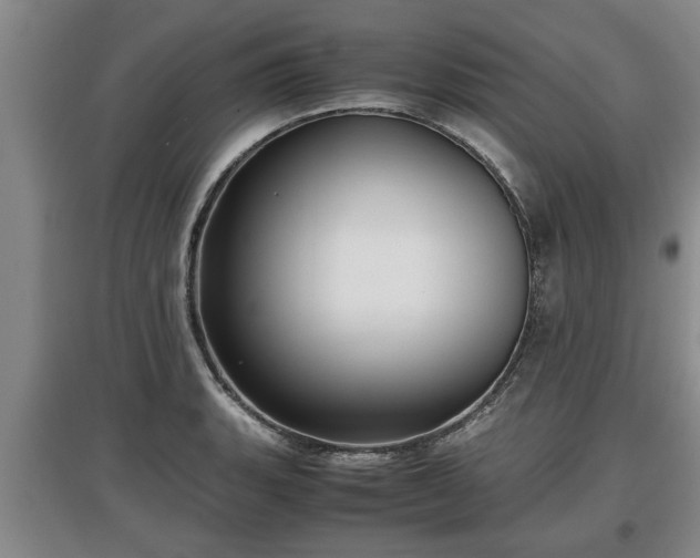 X0000097481135200802291352