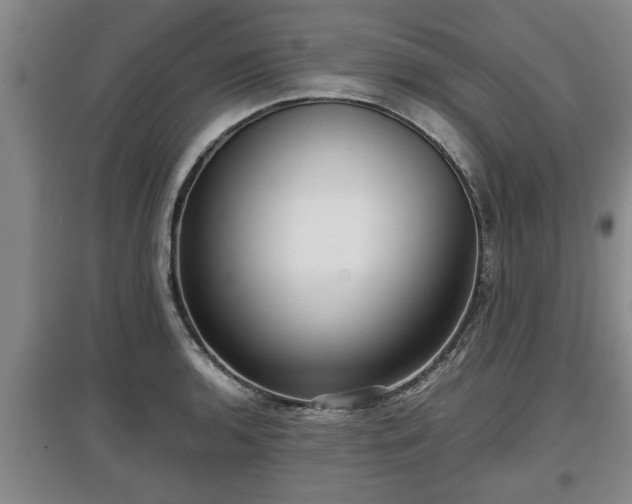 X0000097481136200802291352