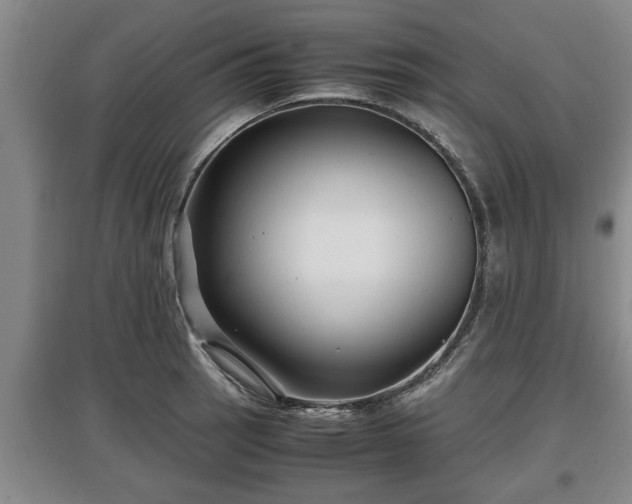 X0000097481137200802291352