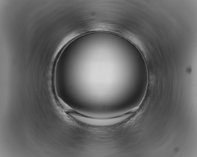 X0000097481138200802291352