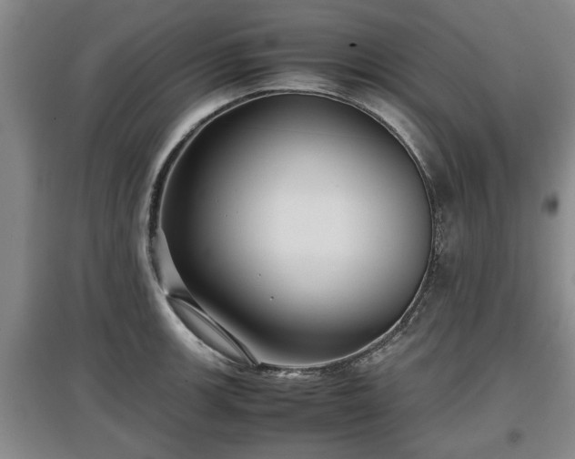 X0000097481139200802291352