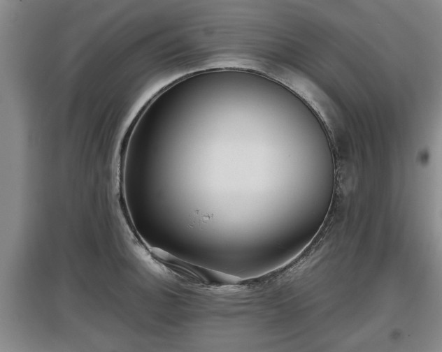 X0000097481140200802291352