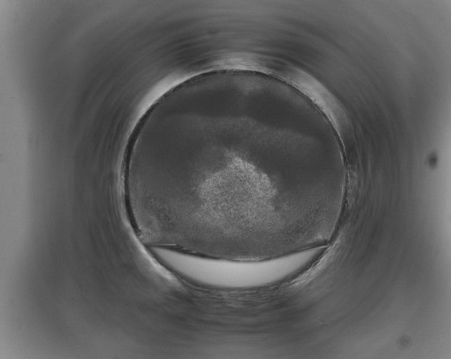 X0000097481141200802291352