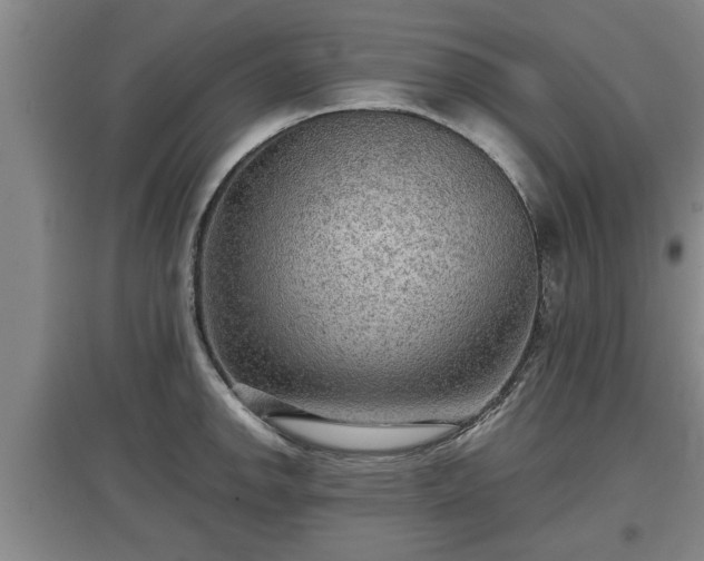 X0000097481142200802291352