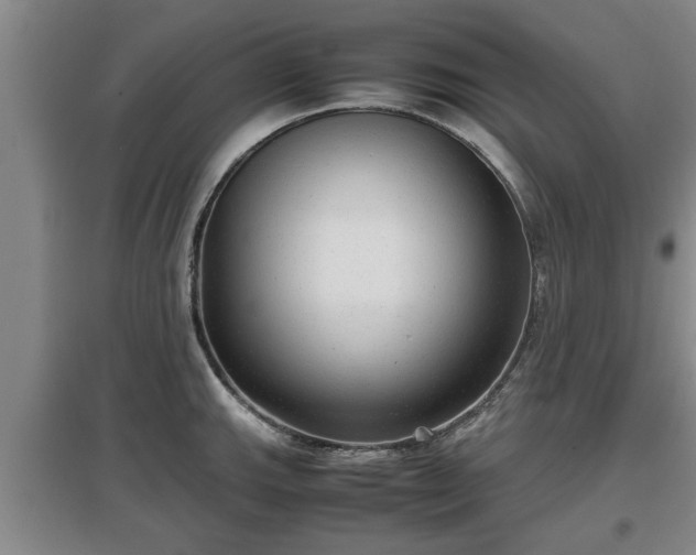 X0000097481143200802291352