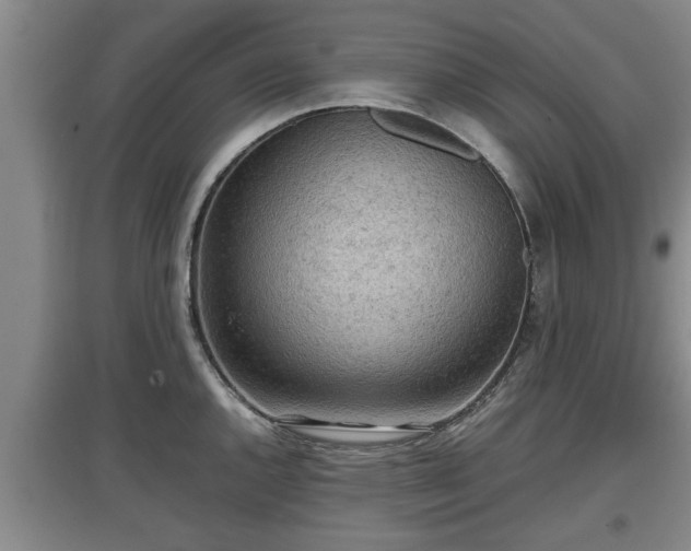 X0000097481144200802291352