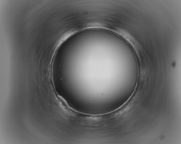 X0000097481145200802291352