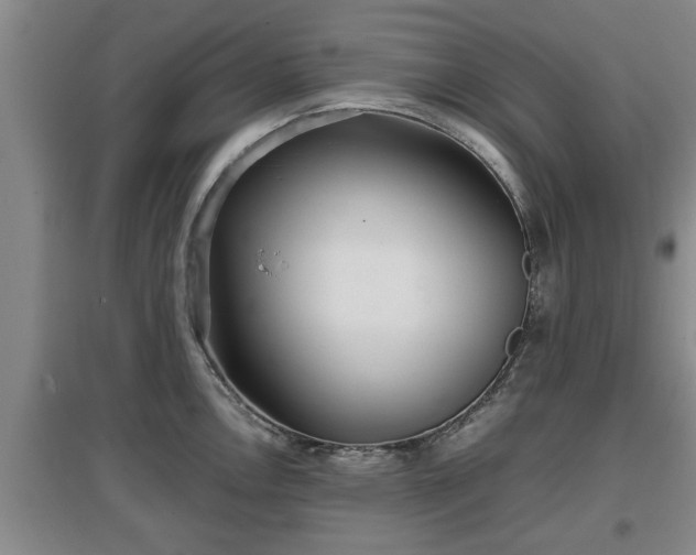 X0000097481146200802291352