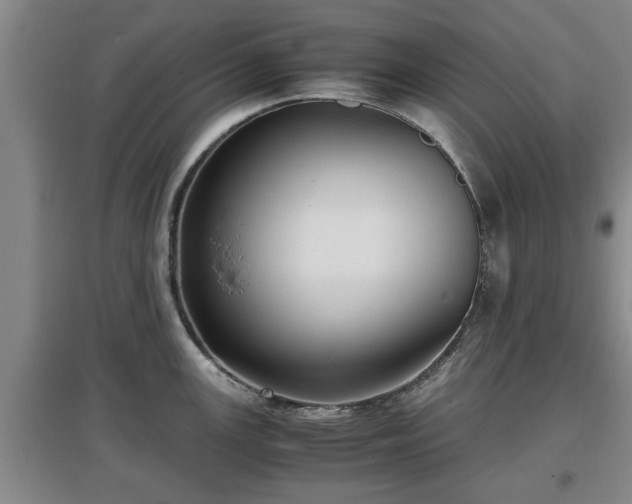 X0000097481147200802291352