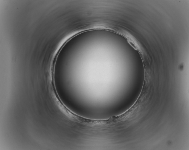 X0000097481148200802291352