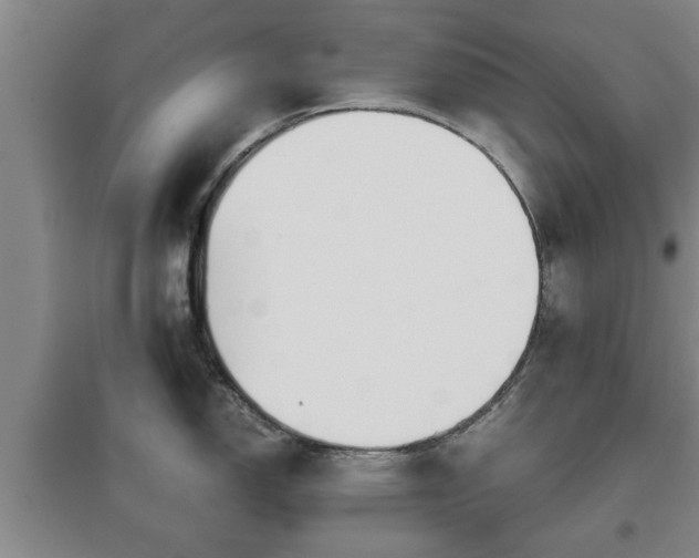 X0000097481150200802291352