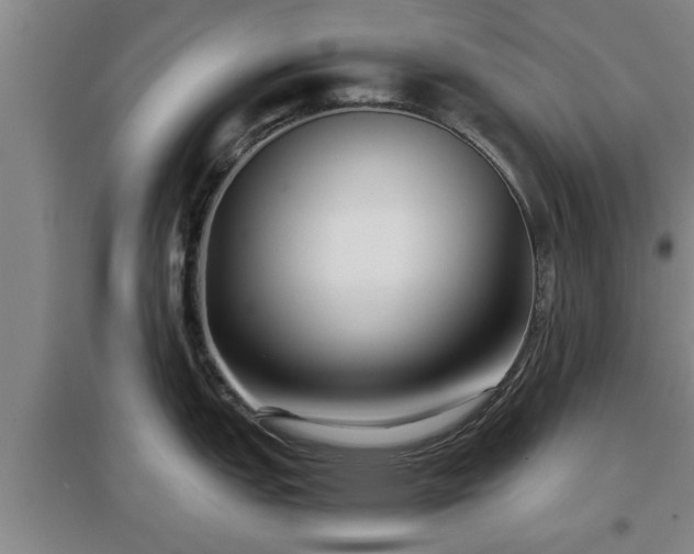X0000097481151200802291352