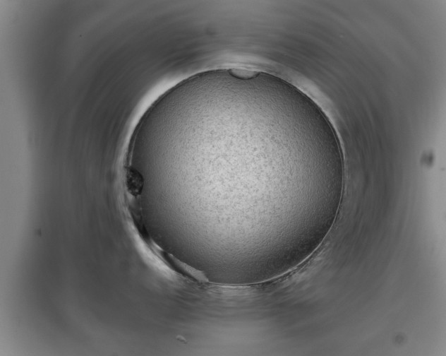 X0000097481152200802291352
