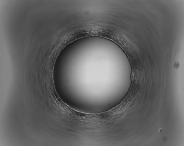 X0000097481153200802291352