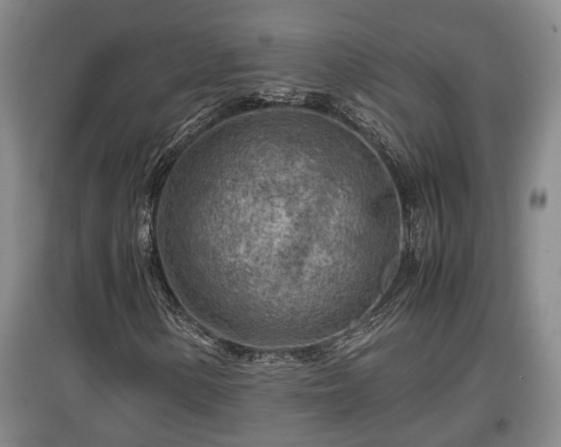 X0000097481154200802291352