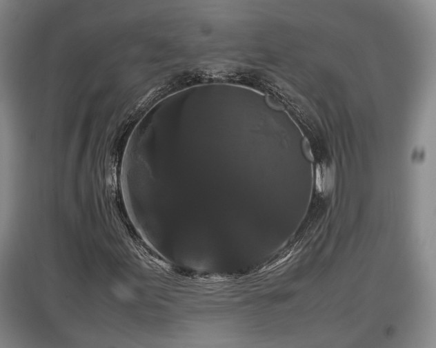 X0000097481155200802291352