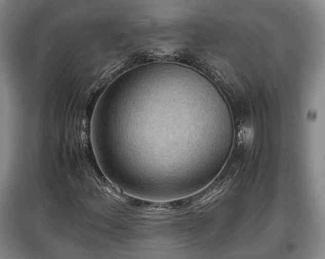X0000097481156200802291352