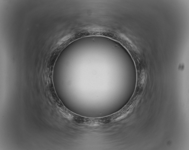 X0000097481157200802291352