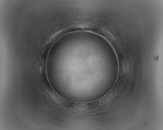X0000097481158200802291352