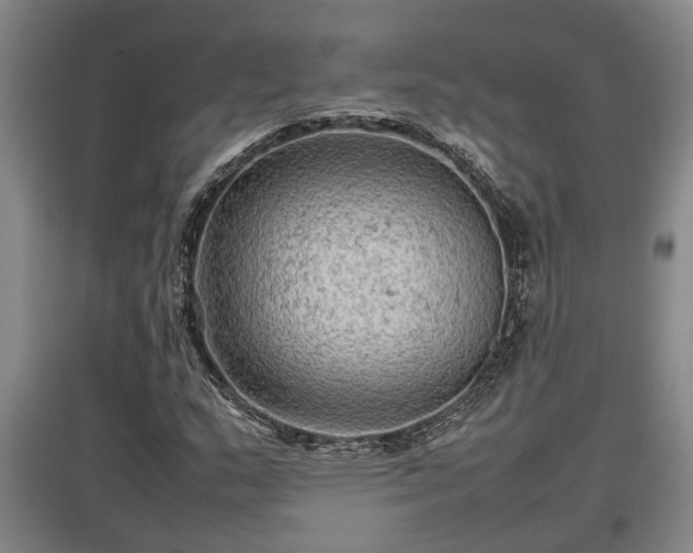 X0000097481159200802291352