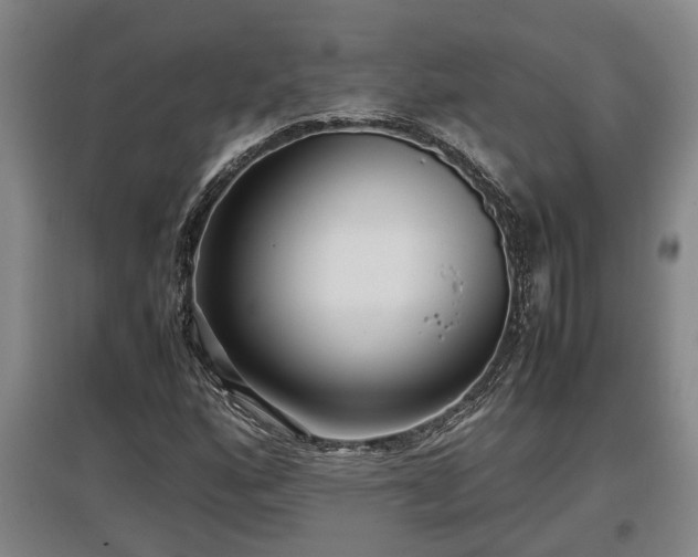 X0000097481160200802291352