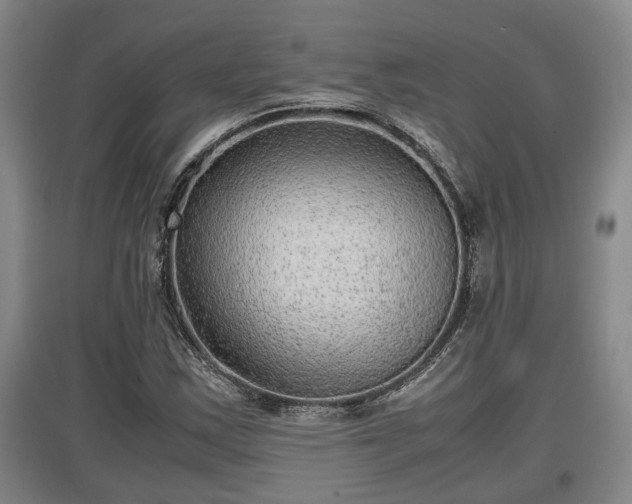 X0000097481163200802291351