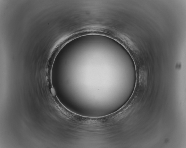X0000097481164200802291351