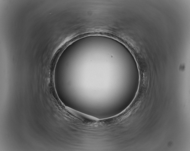 X0000097481165200802291351