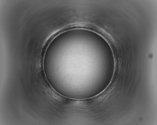 X0000097481166200802291351