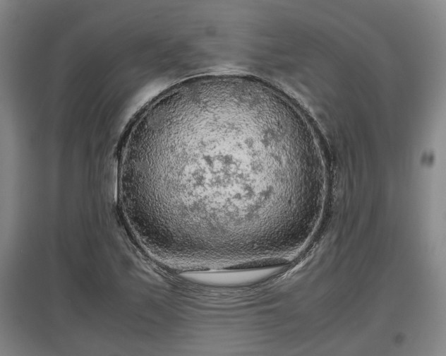 X0000097481171200802291351