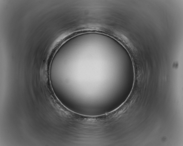 X0000097481172200802291351