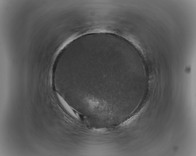 X0000097481173200802291351