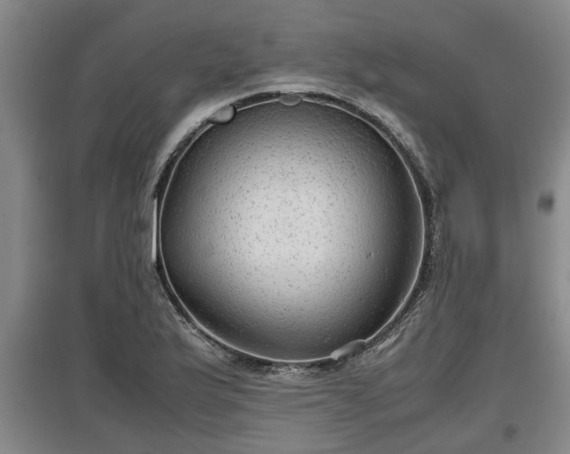 X0000097481175200802291351